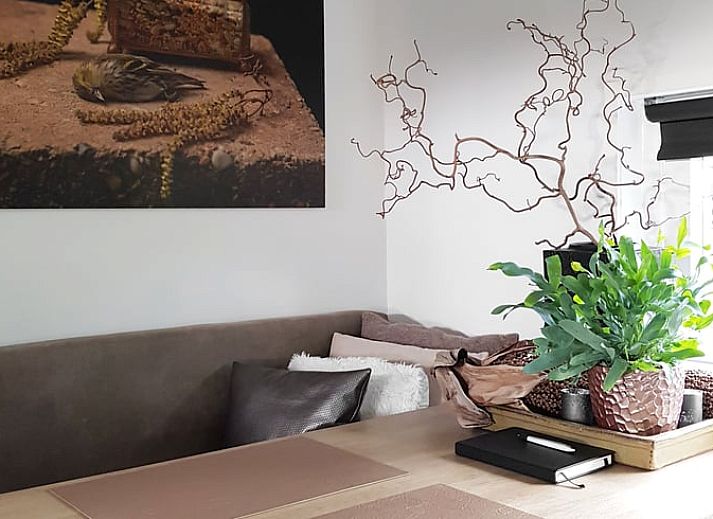 Gemuetliche Sitzecke vor dem Ferienhaus in Kootstertille, ideal fuer einen ruhigen Morgen in Friesland.