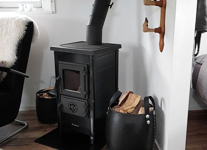 Schattiger Garten im Ferienhaus in Kootstertille, eine Oase der Ruhe in der friesischen Landschaft.