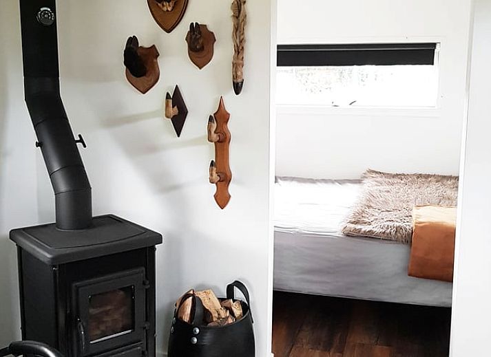 Schattiger Garten im Ferienhaus in Kootstertille, eine Oase der Ruhe in der friesischen Landschaft.