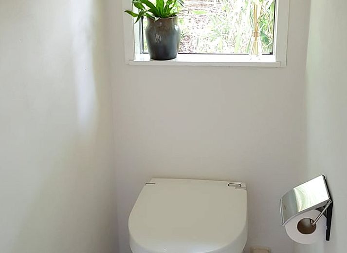 Intime Gartenumgebung im Ferienhaus in Kootstertille, umgeben von viel Gruen in Friesland.