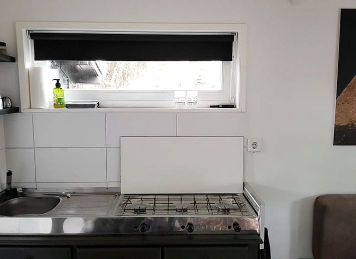 Intime Gartenumgebung im Ferienhaus in Kootstertille, umgeben von viel Gruen in Friesland.