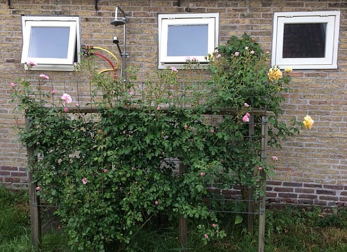 Guest house 2614002 - Holiday property Het Friese platteland - Huisje in Munnekeburen