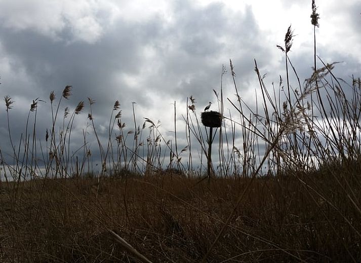 Guest house 2614002 - Holiday property Het Friese platteland - Huisje in Munnekeburen