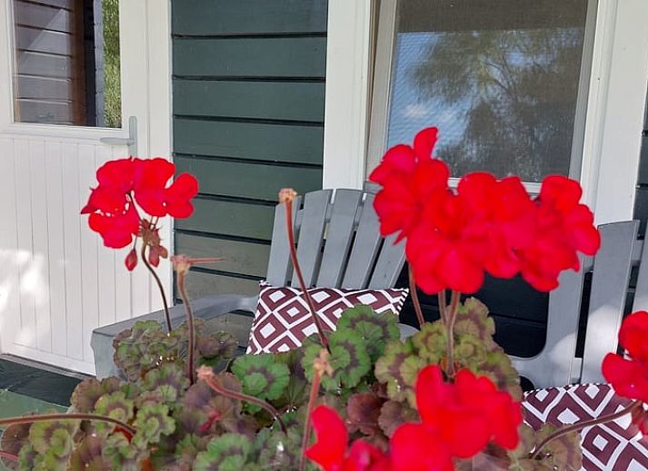 Cottage in Munnekeburen in the Frisian countryside overlooking pond and greenery.