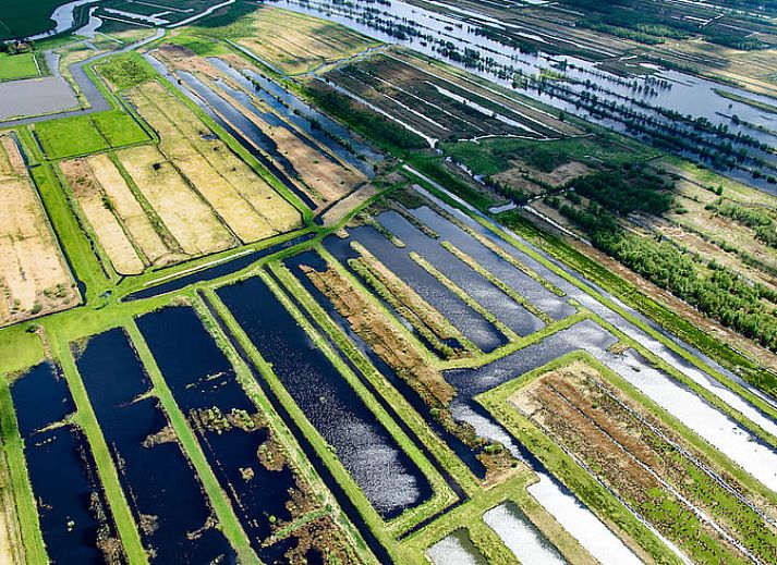 Enjoying nature from the porch of Holiday Home in Munnekeburen.