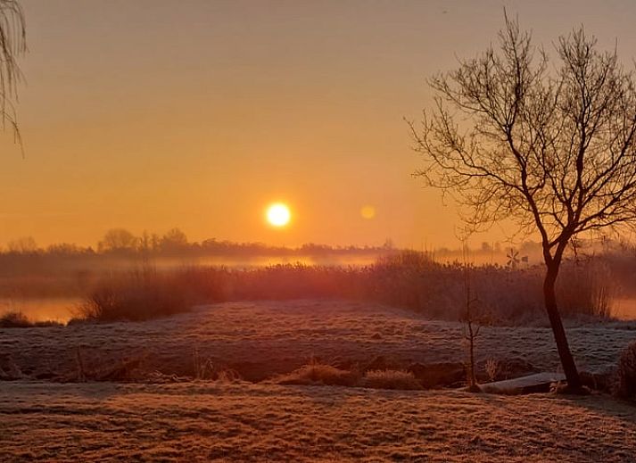 Bright flowers on the porch of Holiday Home in Munnekeburen, Friesland.
