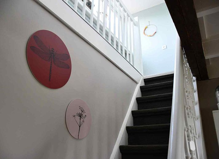 Unterkunft 2614104 - Ferienhaus Het Friese platteland - FR125