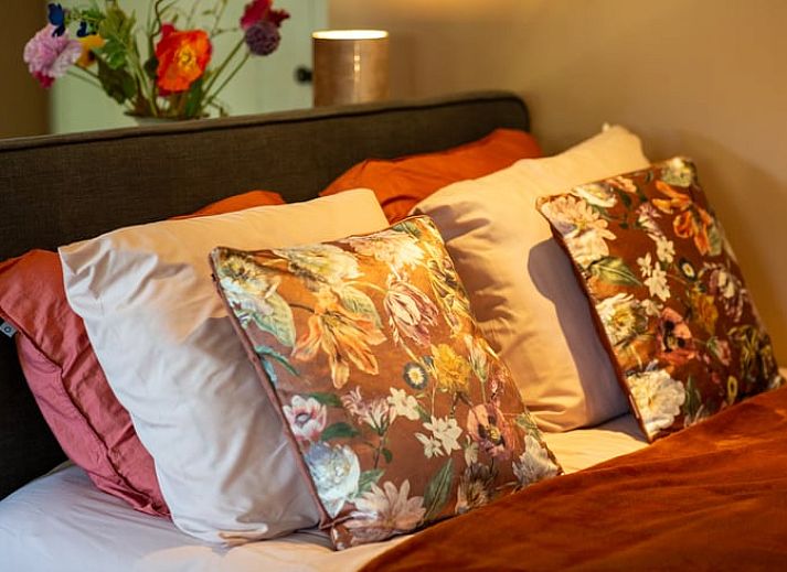 Unterkunft 2614302 - Ferienhaus Het Friese platteland - Huisje in Drogeham