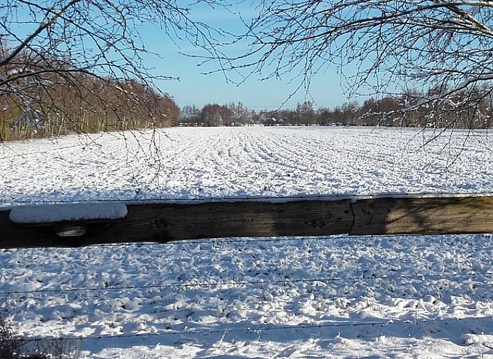 Unterkunft 2614307 - Ferienhaus Het Friese platteland - Vakantiehuisje in Drogeham