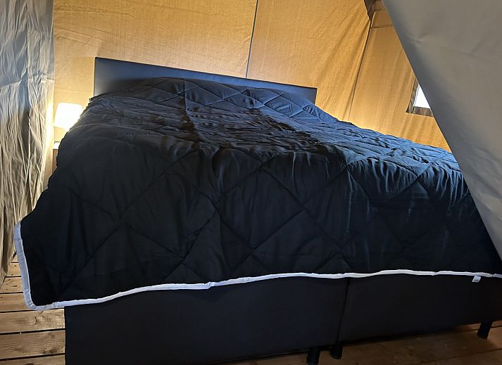 Guest house 2615002 - Tent house Het Friese platteland - Safaritent