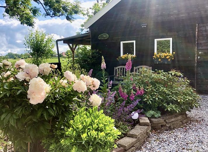 Unterkunft 2615203 - Ferienhaus Het Friese platteland - Vakantiehuisje in Wijtgaard