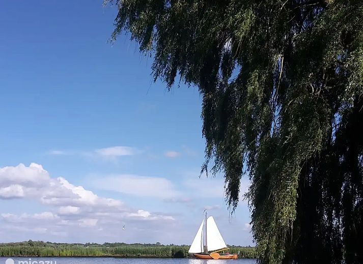 Guest house 2615304 - Holiday property Het Friese platteland - Vrijzicht