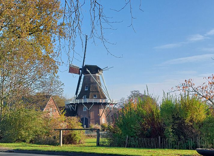 Cozy living room of vacation home FR440 in Friesland with comfortable sofa and natural light.
