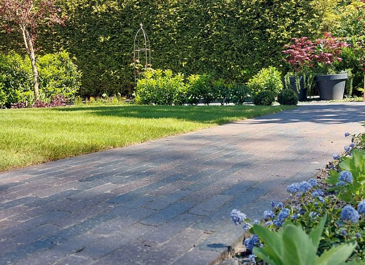 Modern kitchen of vacation home FR440 in Surhuisterveen overlooking the terrace.