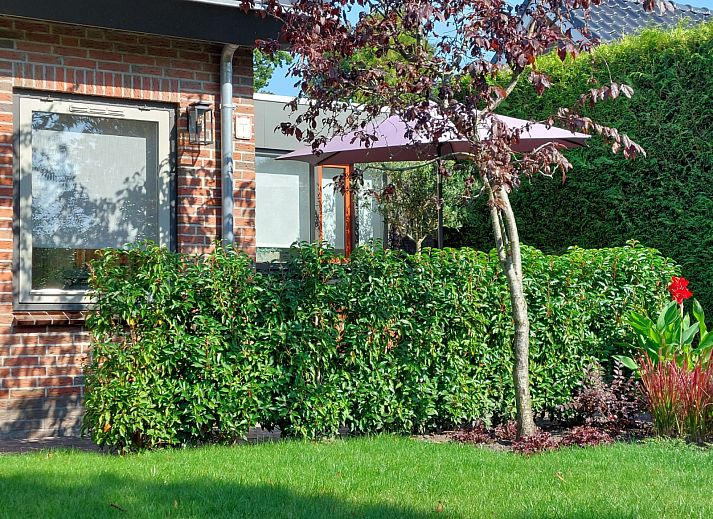 Green garden of vacation home FR440 in Surhuisterveen, surrounded by nature and tranquility.