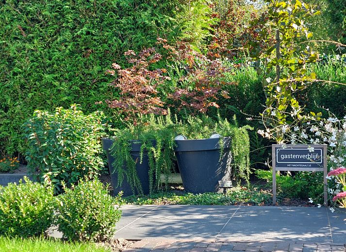 Green garden of vacation home FR440 in Surhuisterveen, surrounded by nature and tranquility.