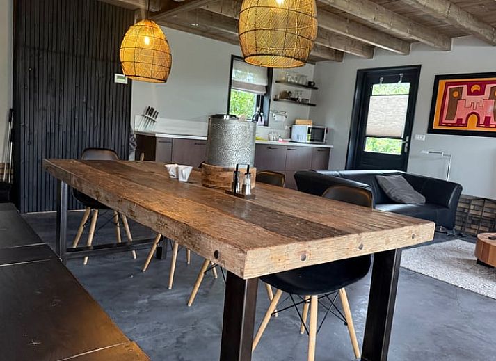 Paarden in een groene weide bij Vakantiehuis in Surhuisterveen, Friesland.