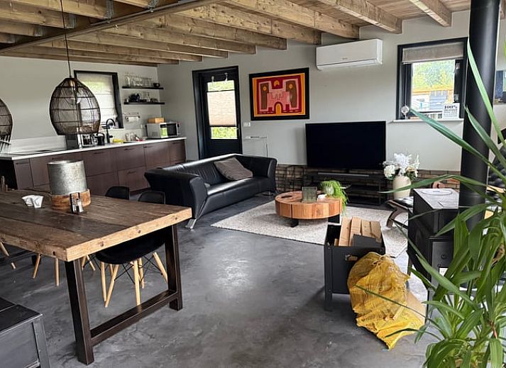 Paarden in een groene weide bij Vakantiehuis in Surhuisterveen, Friesland.