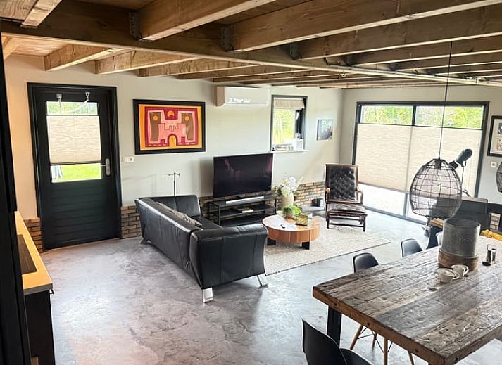 Paarden in een groene weide bij Vakantiehuis in Surhuisterveen, Friesland.