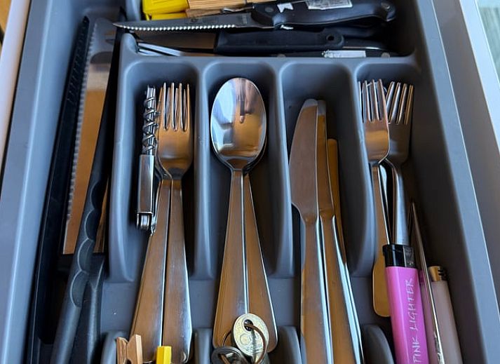 Huisje in Surhuisterveen omgeven door weelderige natuur in het Friese platteland, Friesland.