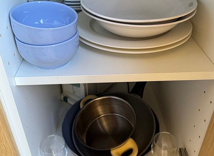 Huisje in Surhuisterveen omgeven door weelderige natuur in het Friese platteland, Friesland.