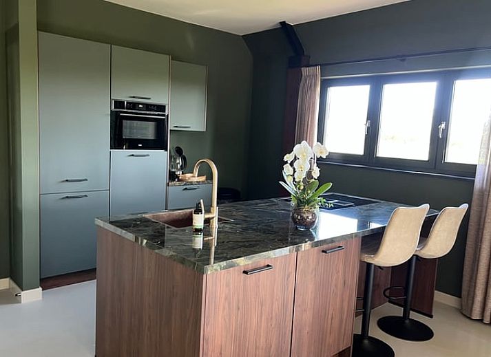 Ferienhaus in Spanga mit Blick auf die ueppige friesische Landschaft und traditionelle Architektur.