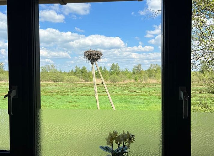 Gemuetliches Wohnzimmer im Ferienhaus in Spanga mit geraeumigen Sitzgelegenheiten und natuerlichem Licht.