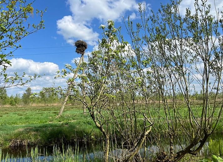 Einzigartige Aussensauna im Ferienhaus in Spanga, umgeben von viel Gruen und Ruhe.