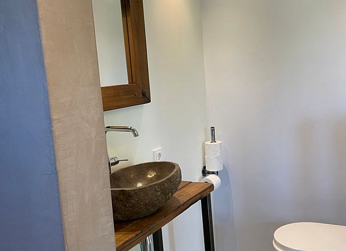 Atmospheric view of Cottage in Goenga with a horse silhouette at sunrise in Friesland.