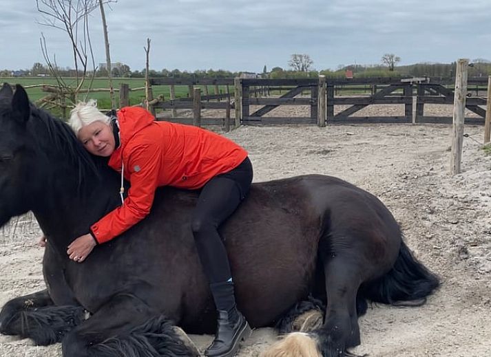Rustic interior of Cottage in Goenga with wooden accents and views of nature.