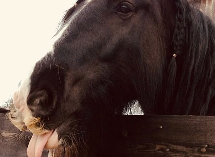 Rustic interior of Cottage in Goenga with wooden accents and views of nature.