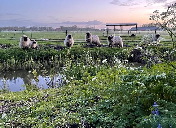 Dining area in vacation home Cottage in Goenga with wooden table and country style in Friesland.