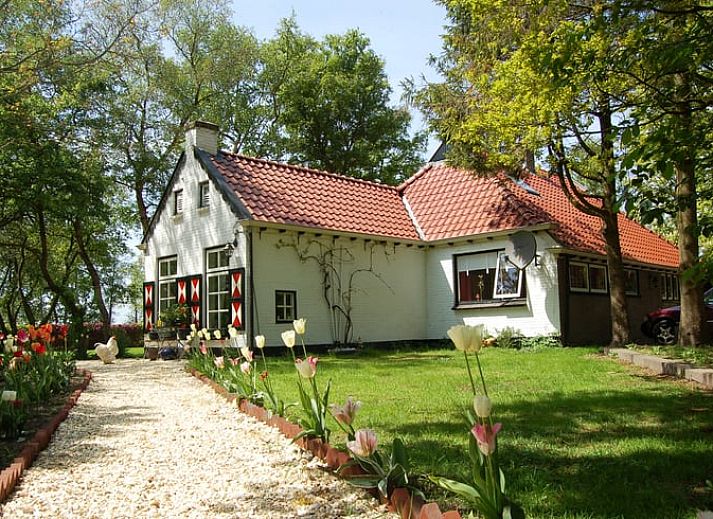 Unterkunft 2616602 • Ferienhaus Het Friese platteland • Vakantiehuis in Ter Idzard 