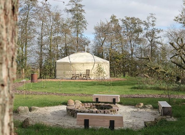 Vakantiehuisje in Feanwalden op het Friese platteland met kleurrijke bloemen en natuurlijke omgeving.