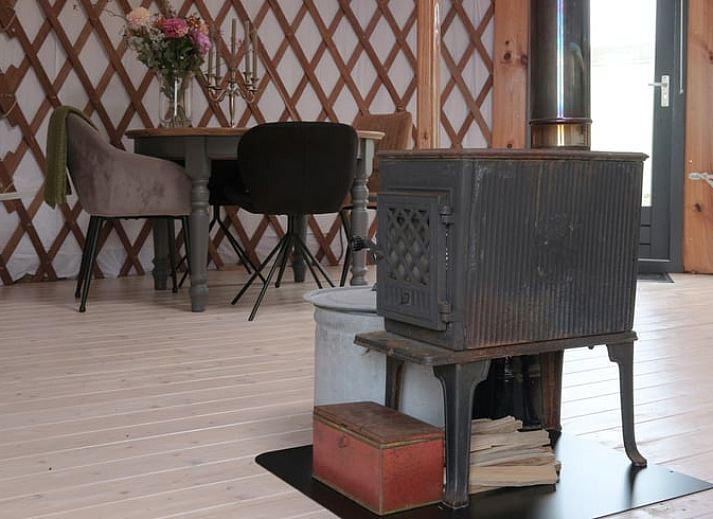 Vakantiehuisje in Feanwalden op het Friese platteland met kleurrijke bloemen en natuurlijke omgeving.