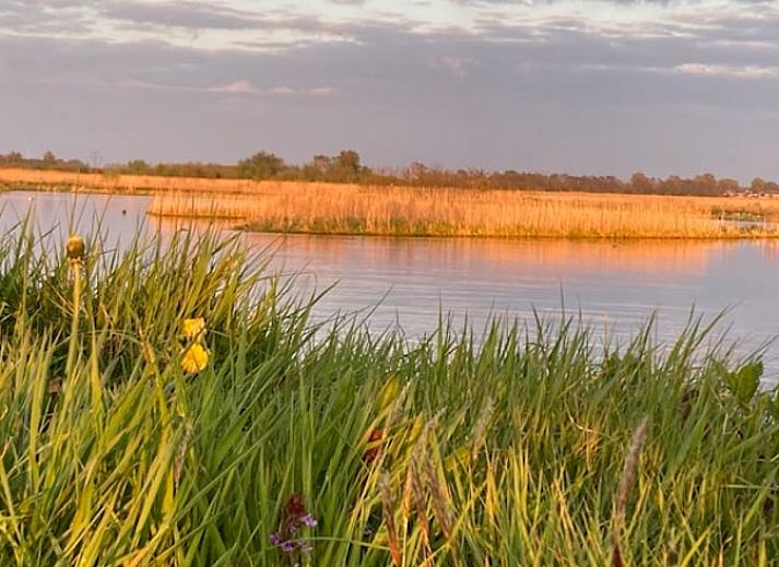 Comfortabele slaapkamer in Vakantiehuisje in Feanwalden, Friesland met houten interieur.