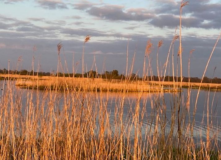 Comfortabele slaapkamer in Vakantiehuisje in Feanwalden, Friesland met houten interieur.