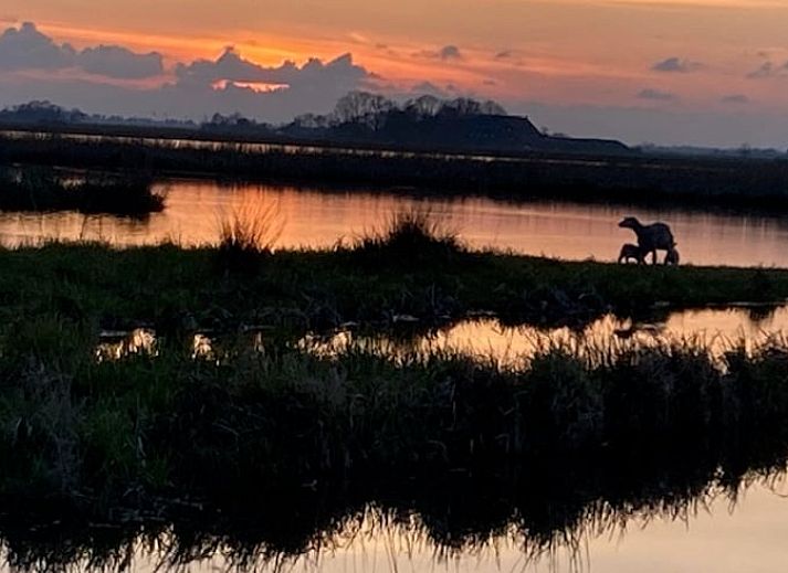 Ruime binnenruimte van Vakantiehuisje in Feanwalden met eethoek en slaapgedeelte.
