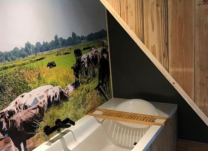 Guest house 2617012 - Holiday property Het Friese platteland - Vakantiehuis in veenwouden