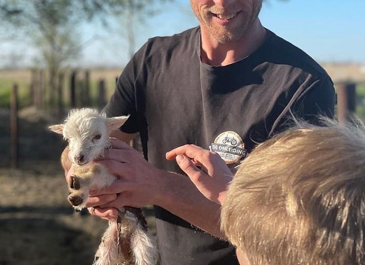 Guest house 2617012 - Holiday property Het Friese platteland - Vakantiehuis in veenwouden