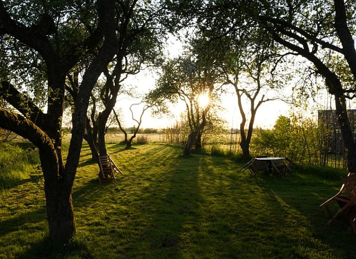 Guest house 2617204 - Holiday property Het Friese platteland - Vakantiehuisje in Weidum