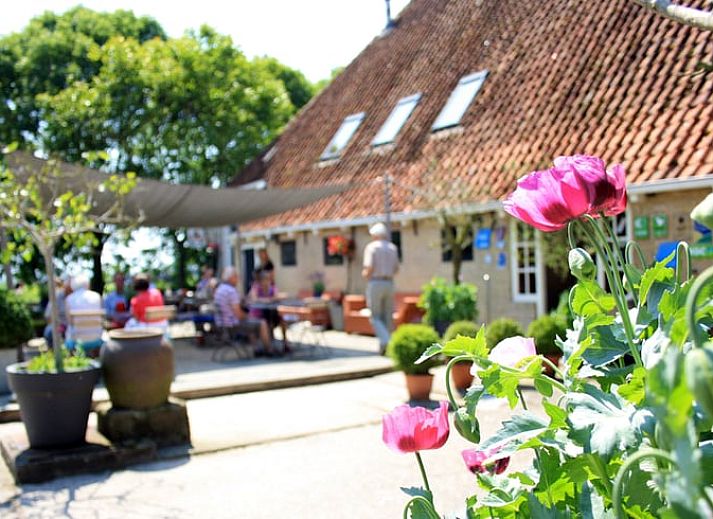 Guest house 2617204 - Holiday property Het Friese platteland - Vakantiehuisje in Weidum