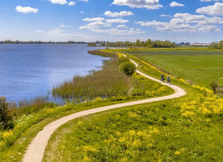 Guest house 2617204 - Holiday property Het Friese platteland - Vakantiehuisje in Weidum