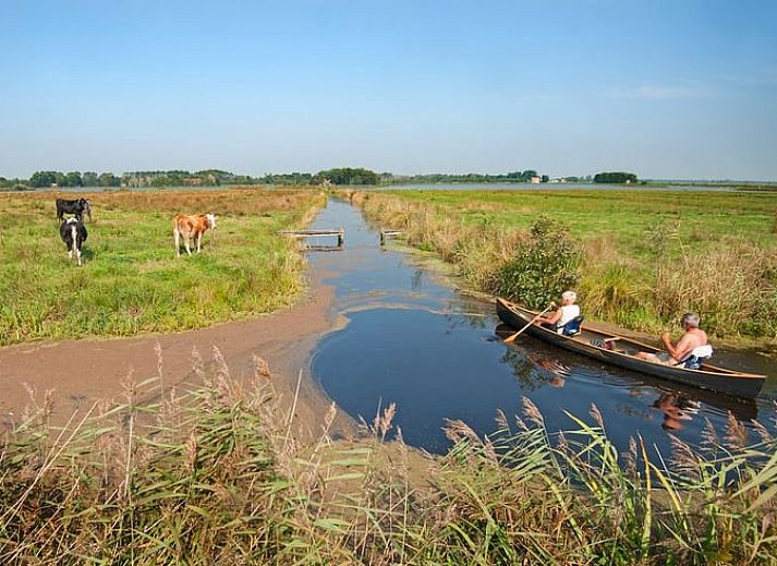 Guest house 2617204 - Holiday property Het Friese platteland - Vakantiehuisje in Weidum