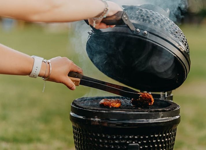 Unterkunft 2617701 - Ferienhaus Het Friese platteland - Vakantiehuis in Jubbega