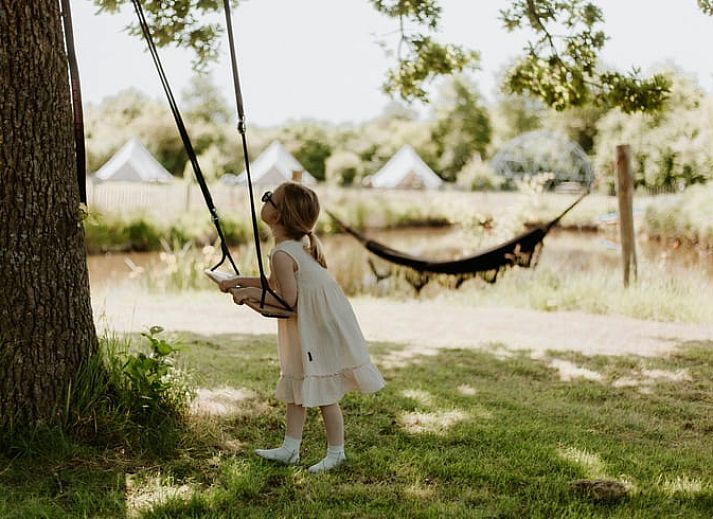 Unterkunft 2617701 - Ferienhaus Het Friese platteland - Vakantiehuis in Jubbega