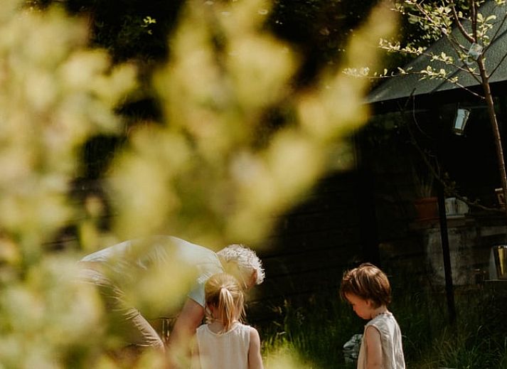 Unterkunft 2617701 - Ferienhaus Het Friese platteland - Vakantiehuis in Jubbega