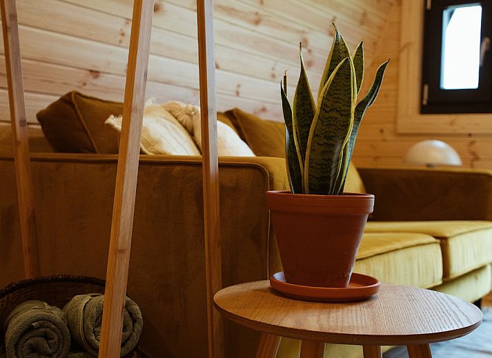 Unterkunft 2617707 - Ferienhaus Het Friese platteland - Glamping Pod met Hottub