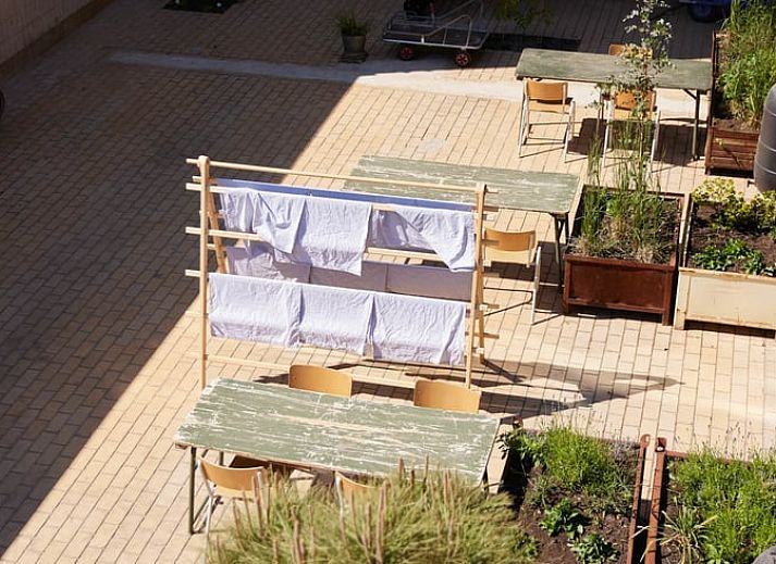 Guest house 2617805 - Holiday property Het Friese platteland - Huisje in Lioessens