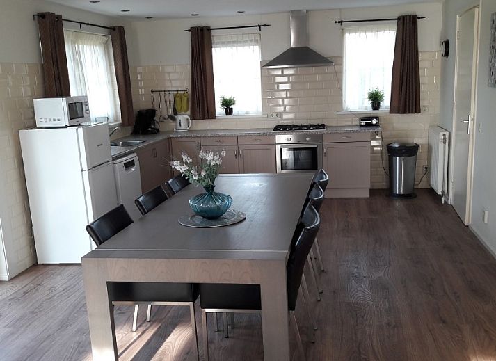 Ferienhaus Bargereed 4 Tzummarum mit sonniger Terrasse in der friesischen Landschaft, Friesland.